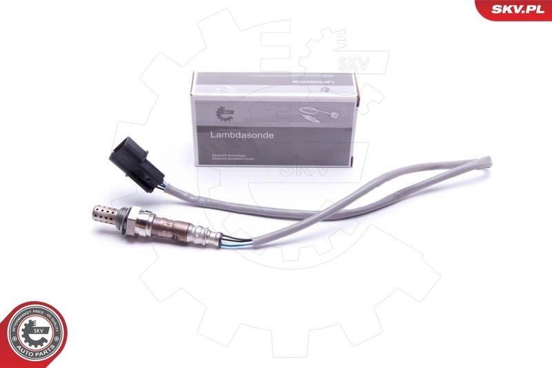 Oxygen Sensor